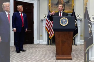 trump - lary elison